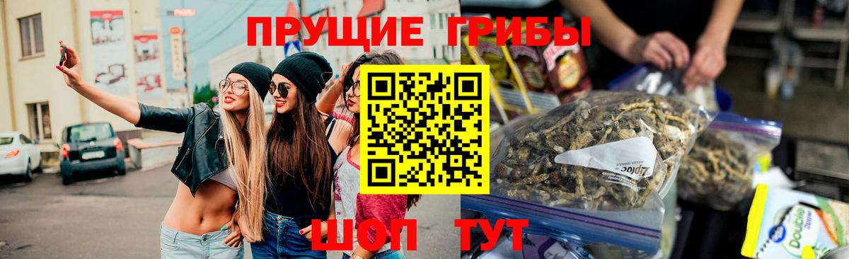 Тельмана  Псилоцибиновые грибы Psilocybe  Вход с VPN 
